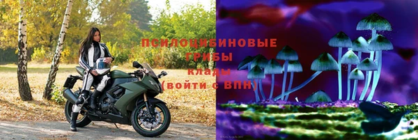 эйфоретик Богородицк