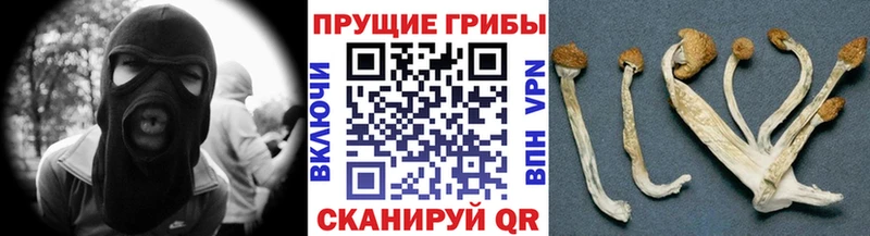 Купить закладки  Называевск  Галлюциногенные грибы MAGIC MUSHROOMS 